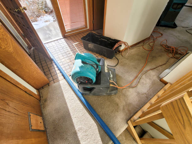 Best Carpet water damage restoration  in Clayton, CA