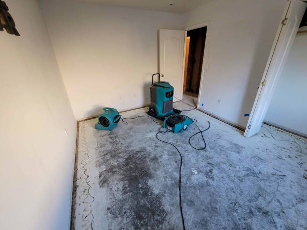 Best Fire Damage Restoration  in Clayton, CA