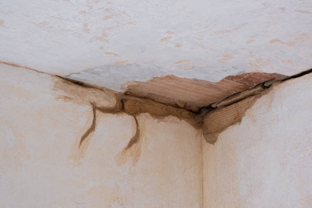 Trusted Clayton, CA Water damage restoration Experts