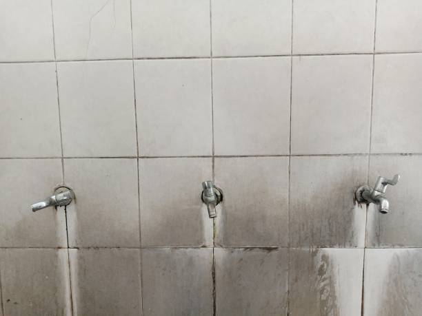 Best Water damage cleanup near me  in Clayton, CA