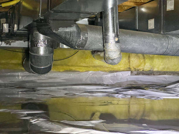 Best Water damage cleanup near me  in Clayton, CA