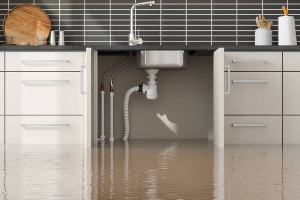 Best Water damage repair service  in Clayton, CA