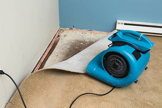 Best Flood damage cleanup  in Clayton, CA